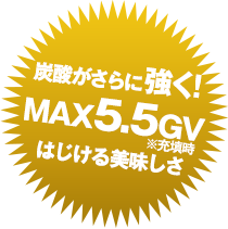 max5.5